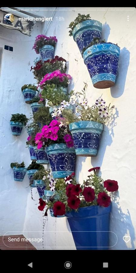 Mijas Pueblo Paradise Villa Málaga Eksteriør billede
